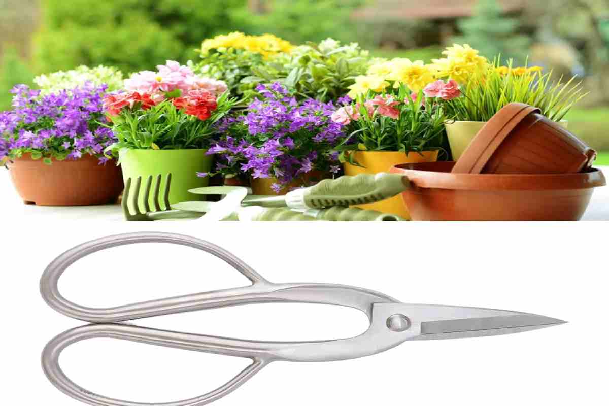 Hand Walmart Curved Bud Trimming Scissors Hand Walmart Curved Bud Trimming Scissors