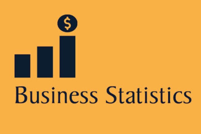 Business Statistics Write For Us