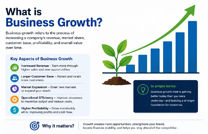 what is business growth