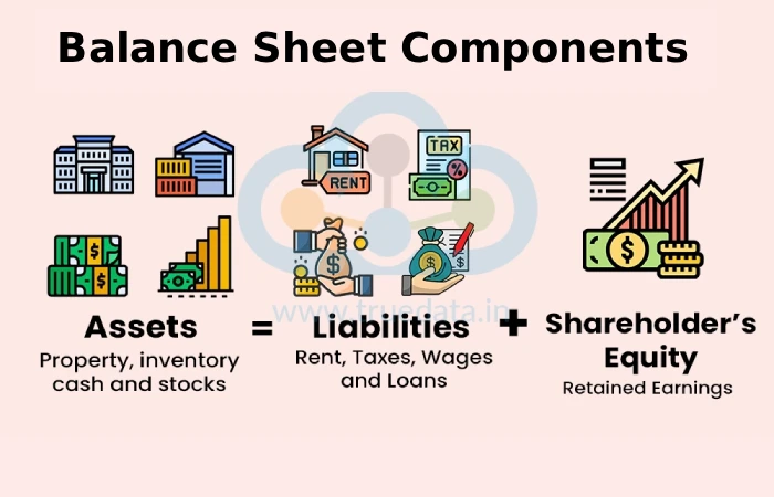 Balance Sheet Components